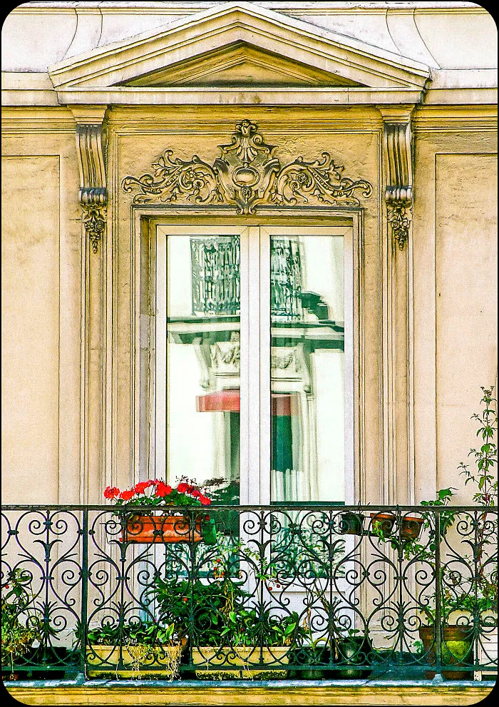 Flowery Windows