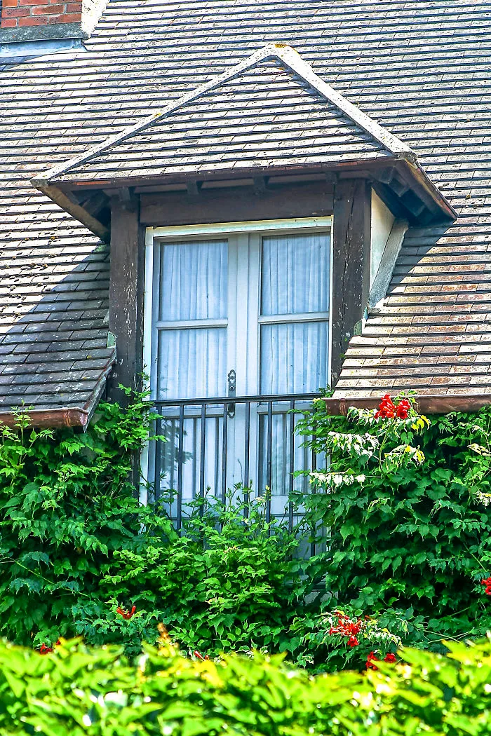 Flowery Windows
