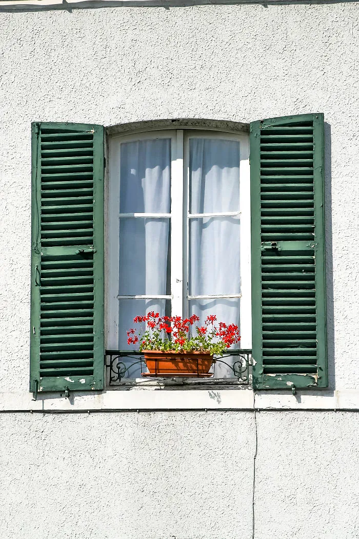 Flowery Windows