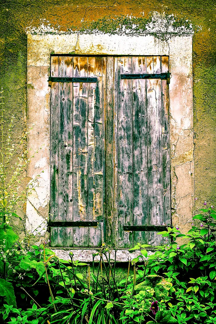 Flowery Windows