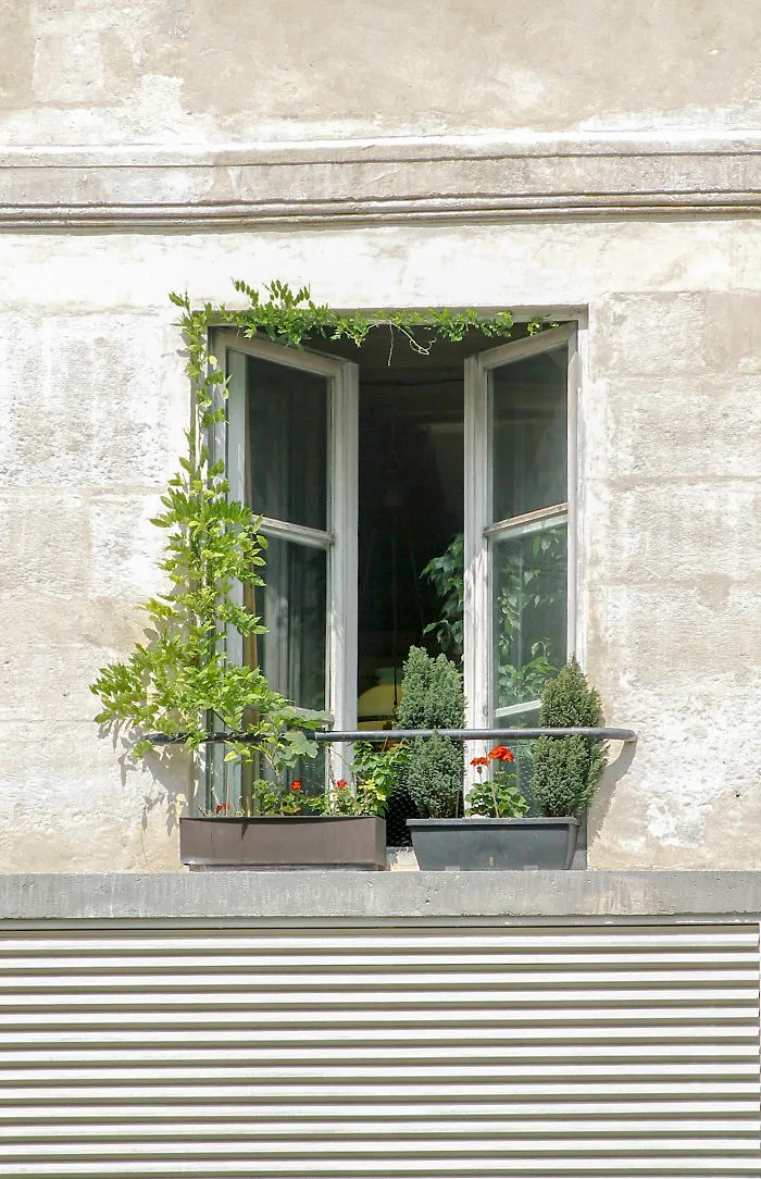 Flowery Windows