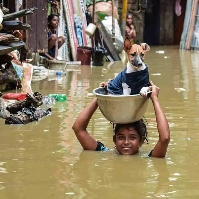10+ Incredible Scenes Of Havoc And Hope From Kerala's Worst Flood In 100 Years