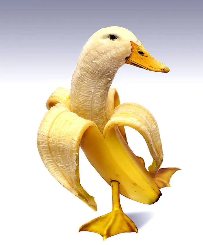 Photoshop Artists Combine Animals And Plants Into One Interesting Object