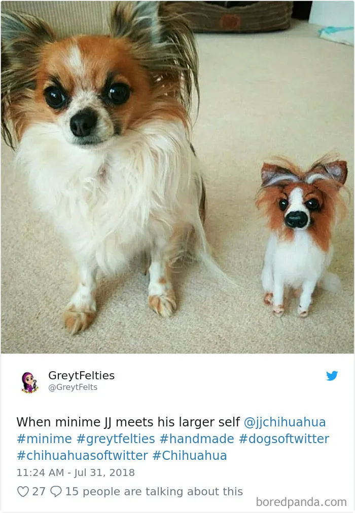 233 Funny Dog Tweets Every Dog Owner Should See ASAP