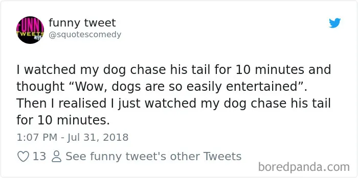 233 Funny Dog Tweets Every Dog Owner Should See ASAP