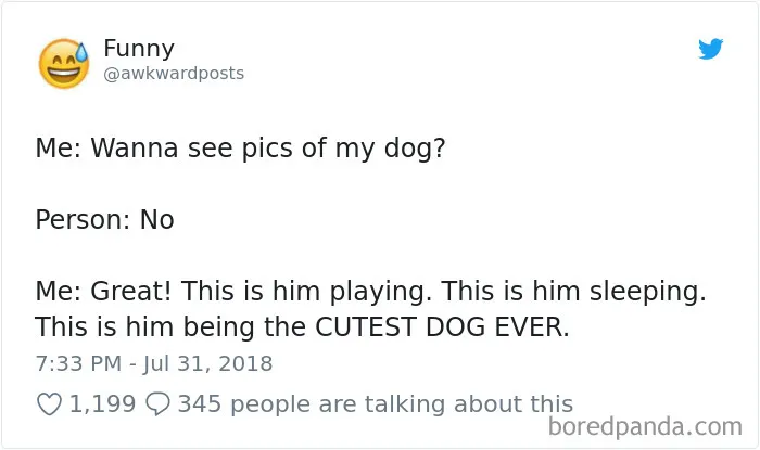 233 Funny Dog Tweets Every Dog Owner Should See ASAP