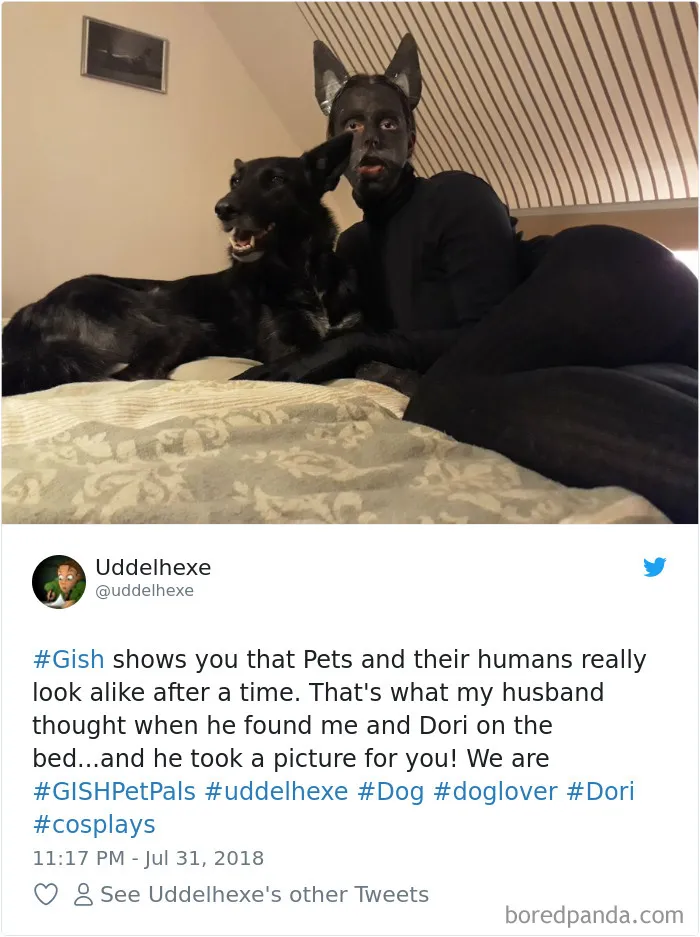 233 Funny Dog Tweets Every Dog Owner Should See ASAP