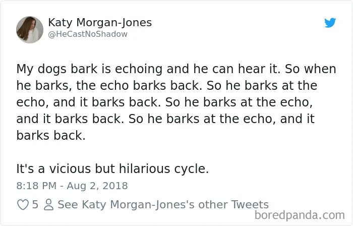 233 Funny Dog Tweets Every Dog Owner Should See ASAP