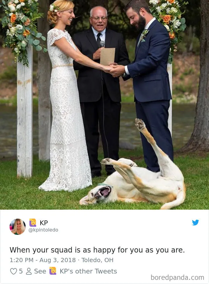 233 Funny Dog Tweets Every Dog Owner Should See ASAP
