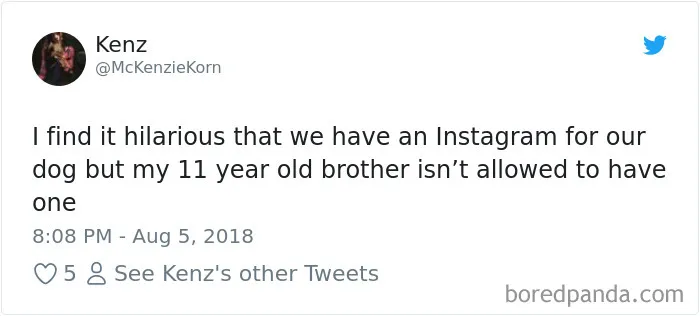 233 Funny Dog Tweets Every Dog Owner Should See ASAP