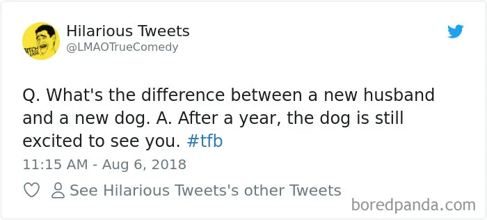 233 Funny Dog Tweets Every Dog Owner Should See ASAP
