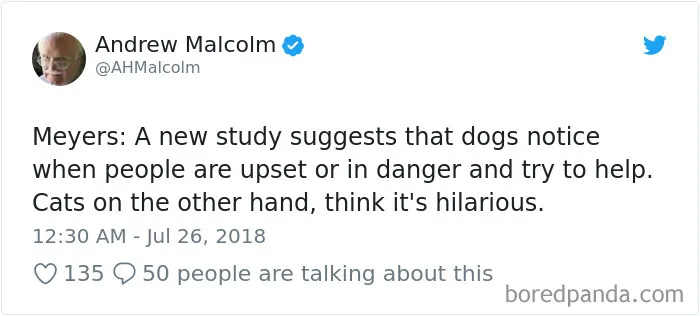 233 Funny Dog Tweets Every Dog Owner Should See ASAP