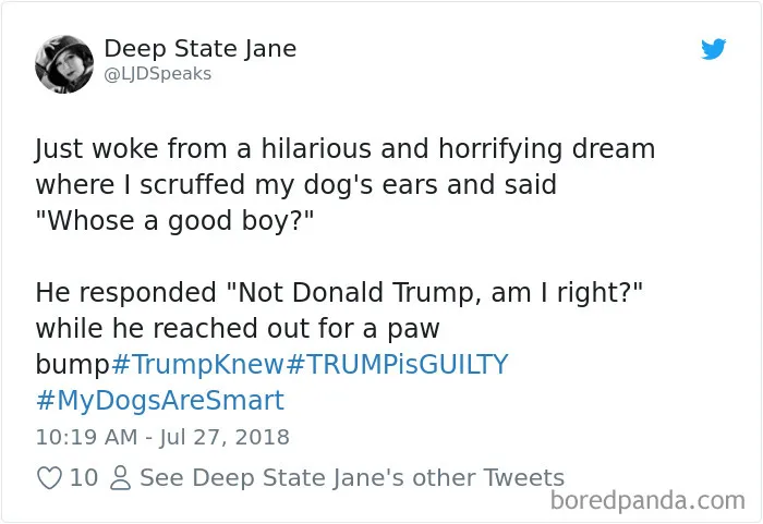 233 Funny Dog Tweets Every Dog Owner Should See ASAP