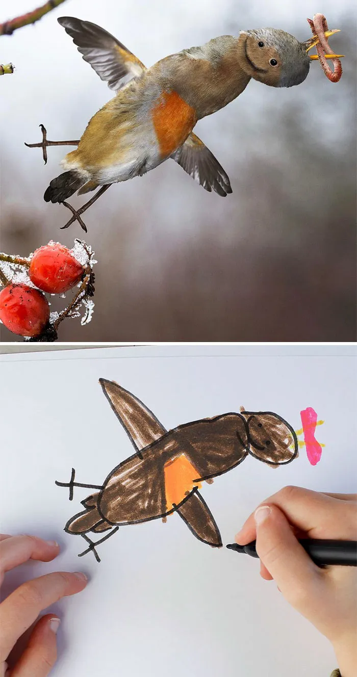 Bird Drawing
