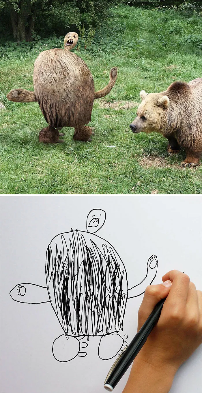 Bear Drawing