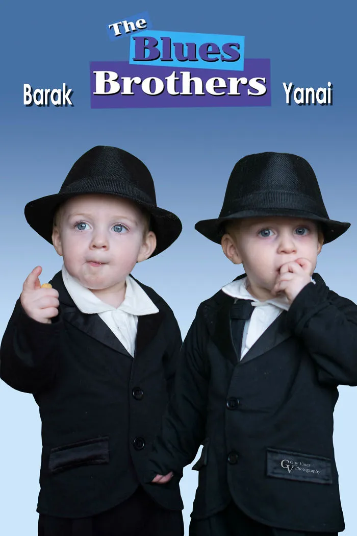 The Blues Brothers
