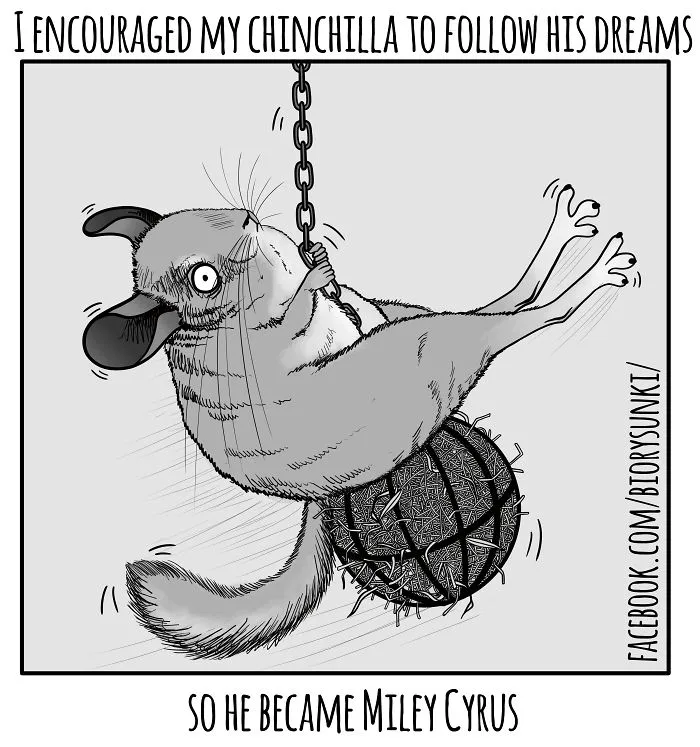 Wrecking Furball