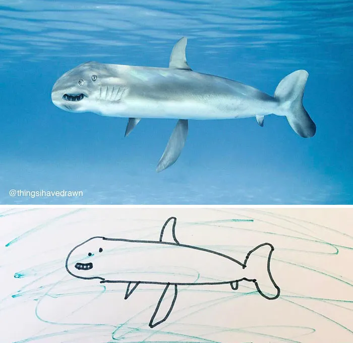 Real-Life Shark