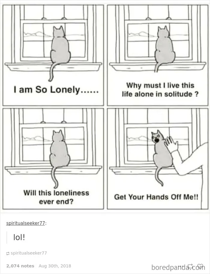 51 Times Tumblr Made Introverts Laugh Out Loud