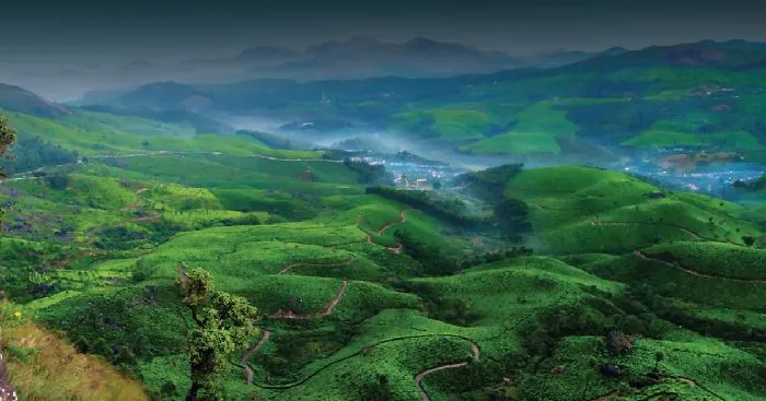 5 Popular Tourist Places To Visit Near Mount Serene Munnar Resort In Kerala With Family