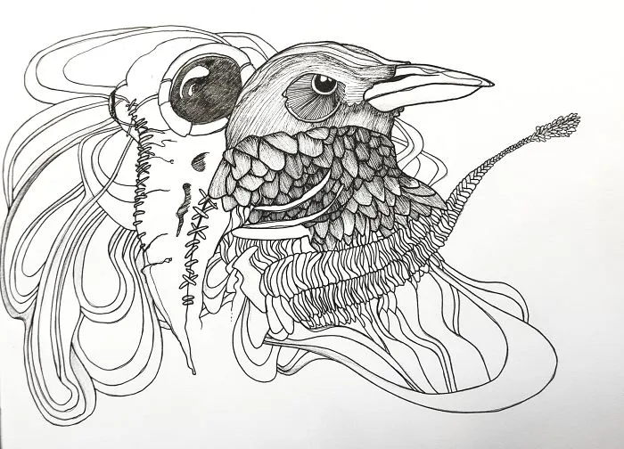 Only Dead Birds Can Be Free