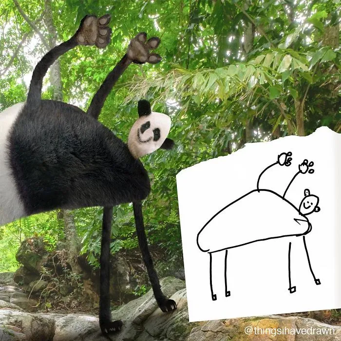 Panda Bear