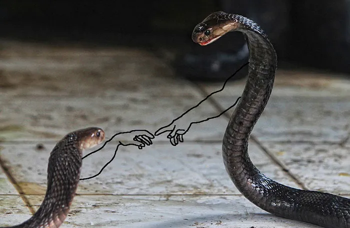 The Creation Of Adam
