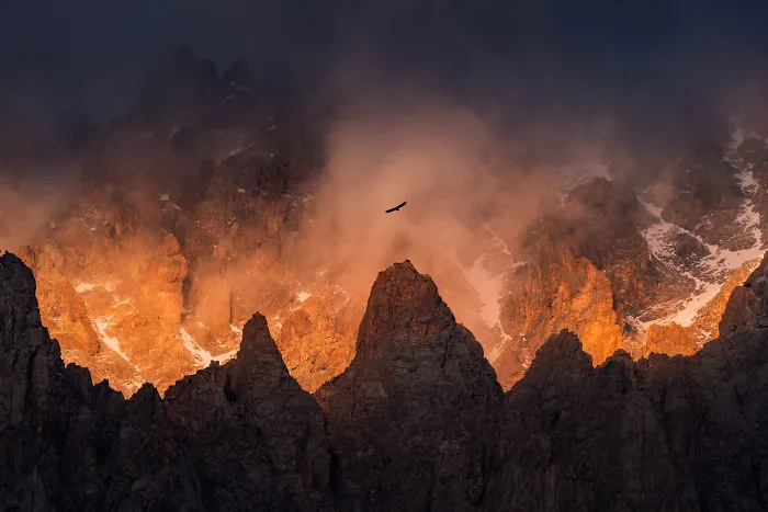 Un águila volando sobre las cimas de las montañas de Ala-Archa