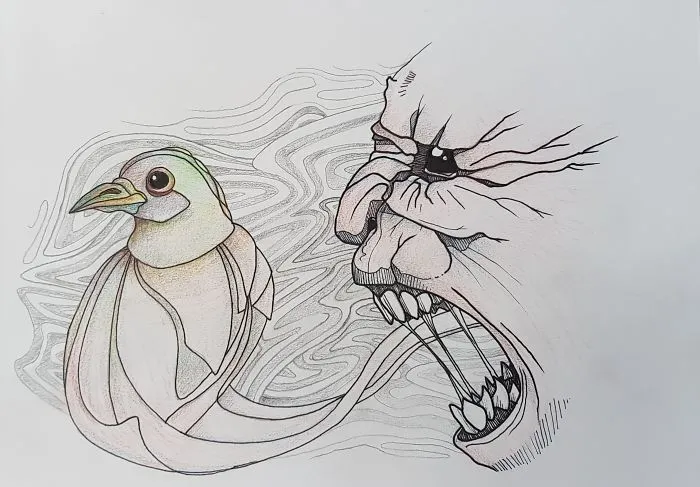 There Is No Point In Yelling At Birds