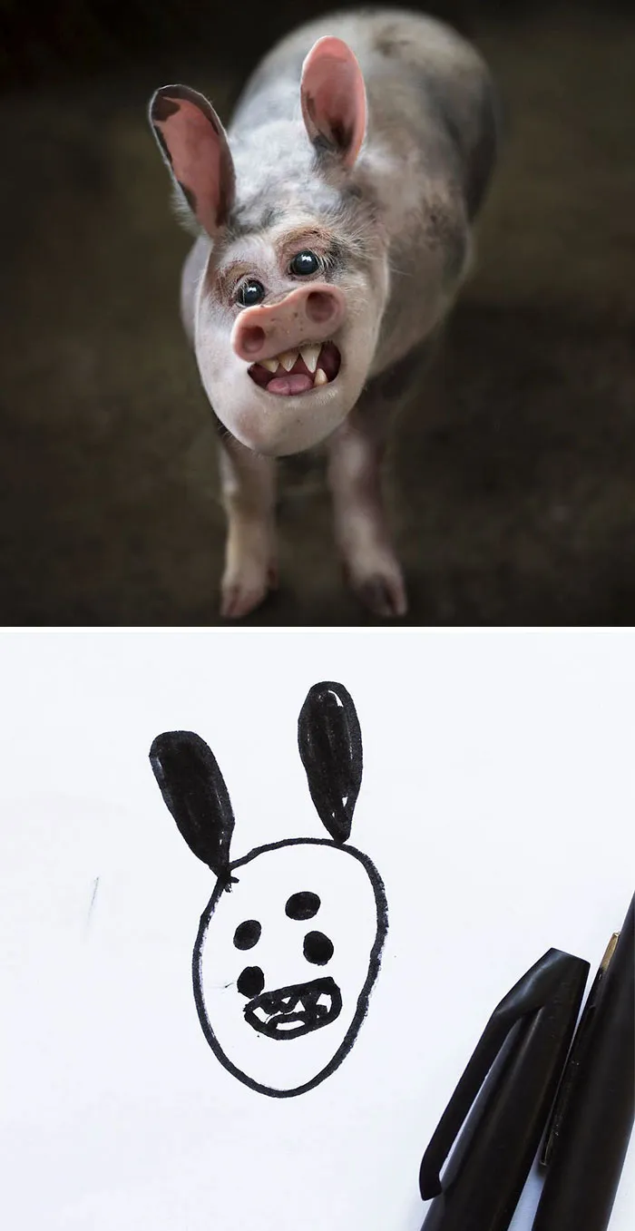 Kid's Drawing Of A Pig