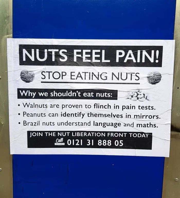 Nuts Feel Pain!