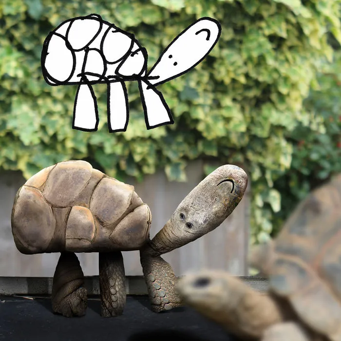 Turtle As Imagined By Kid