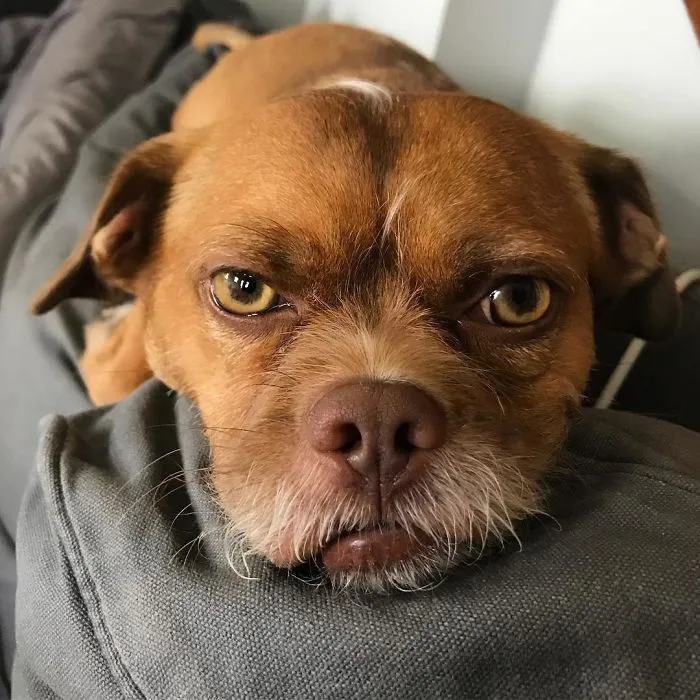 Hard Nope For Monday