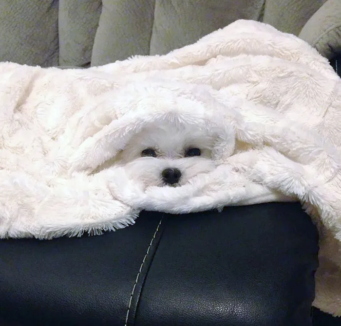 I Guess I'm A Towel Now