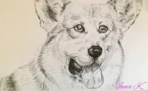 I Make Exclusive, Life-Like Portraits Of Pets And Here Is The Progress
