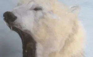 Artist Is Trying To Bring Awareness Creating Endangered Animals From Wool