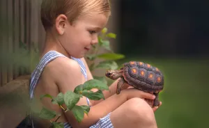 My Wild Encounter With A Crew Of Real Life Frog Catching Turtle Tamers