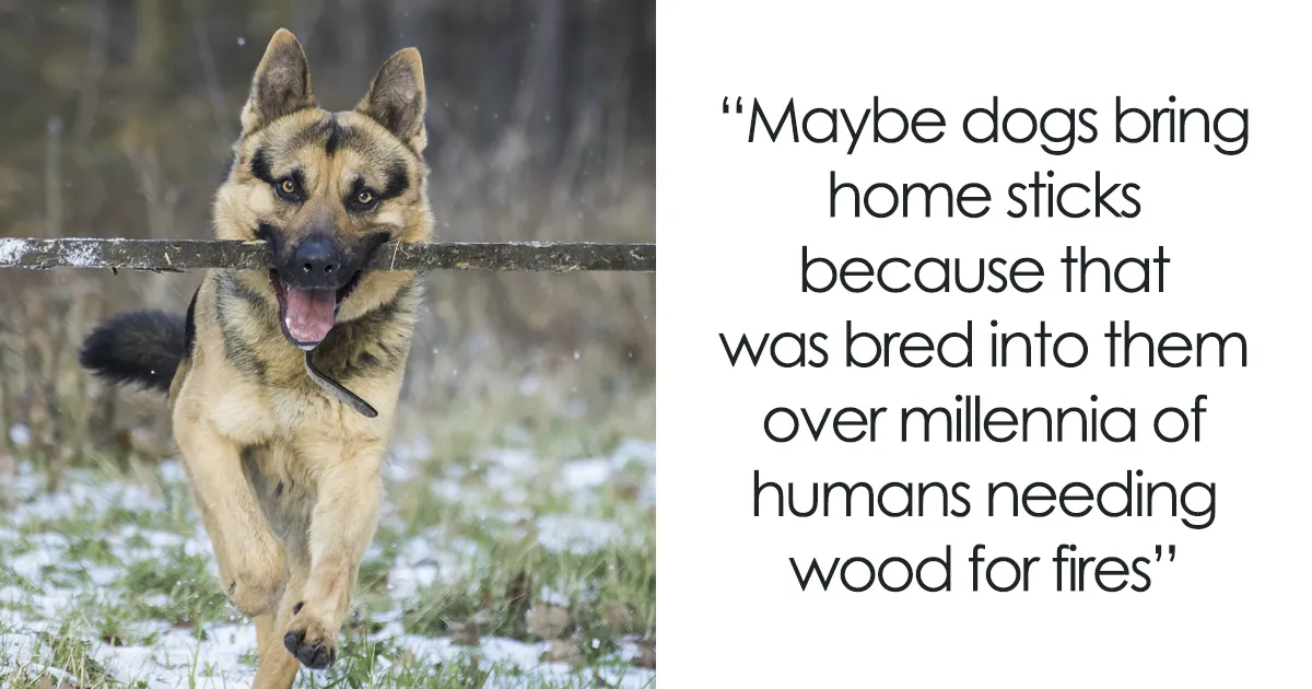 59 Weird But True Shower Thoughts That Will Make You Think