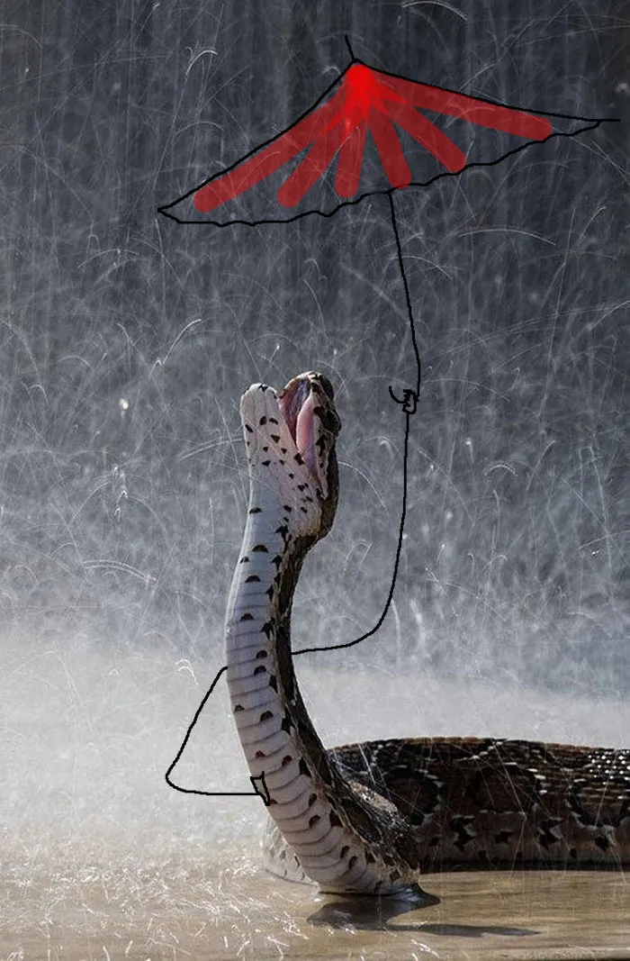 Dancing In The Rain