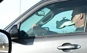 82 Dumb Drivers Who Should Not Be Allowed On The Road