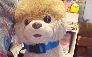 My Fave Stuffed Animal, Boo