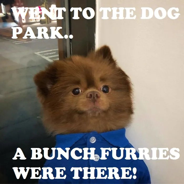 I Made A Meme Out Of Another Boredpanda Post
