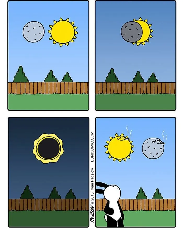 My 67 Cute Bunny Comics That Often Don't End Well