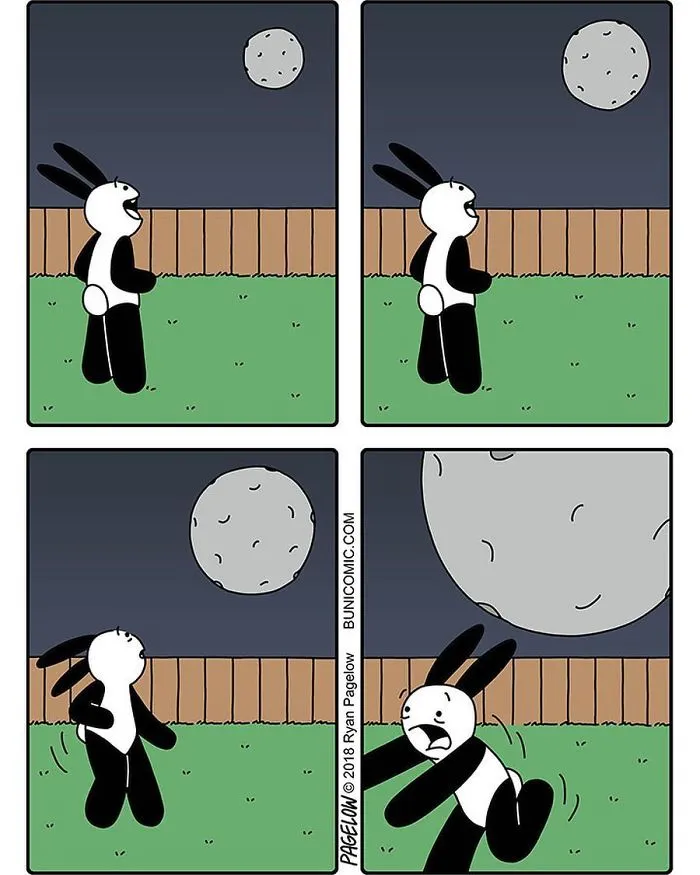 My 67 Cute Bunny Comics That Often Don't End Well