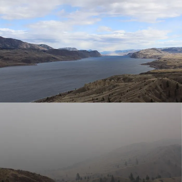 Wildfire Season