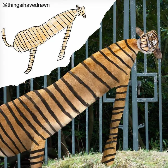 Tiger Drawing