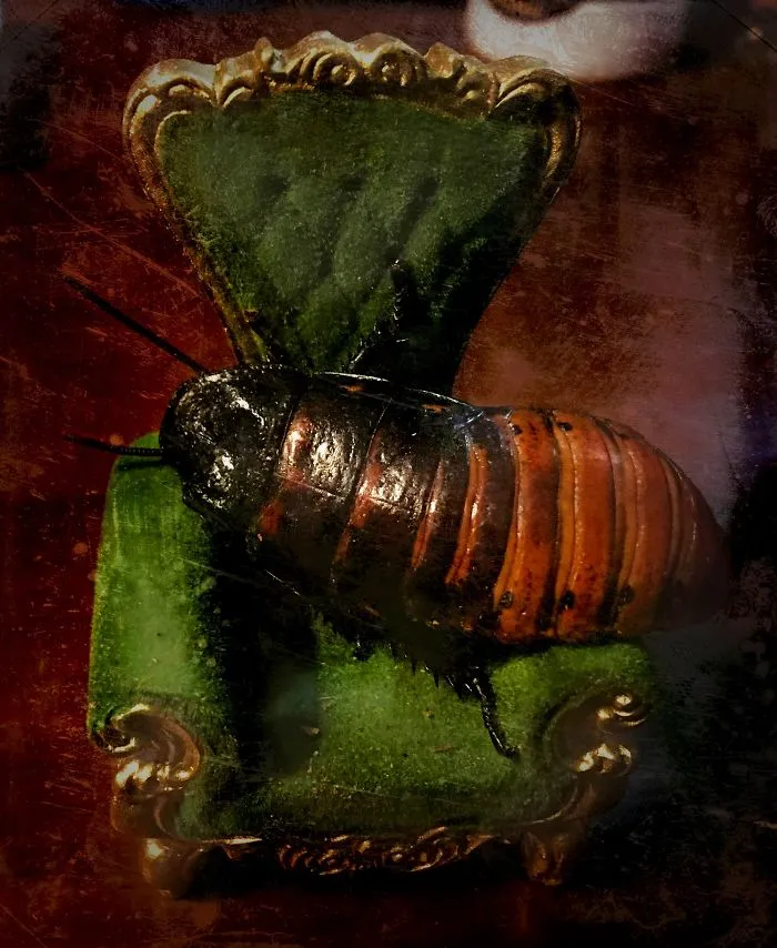 Confectioner Makes 27 Creepy Desserts, And It Will Take Courage To Cut Into Them