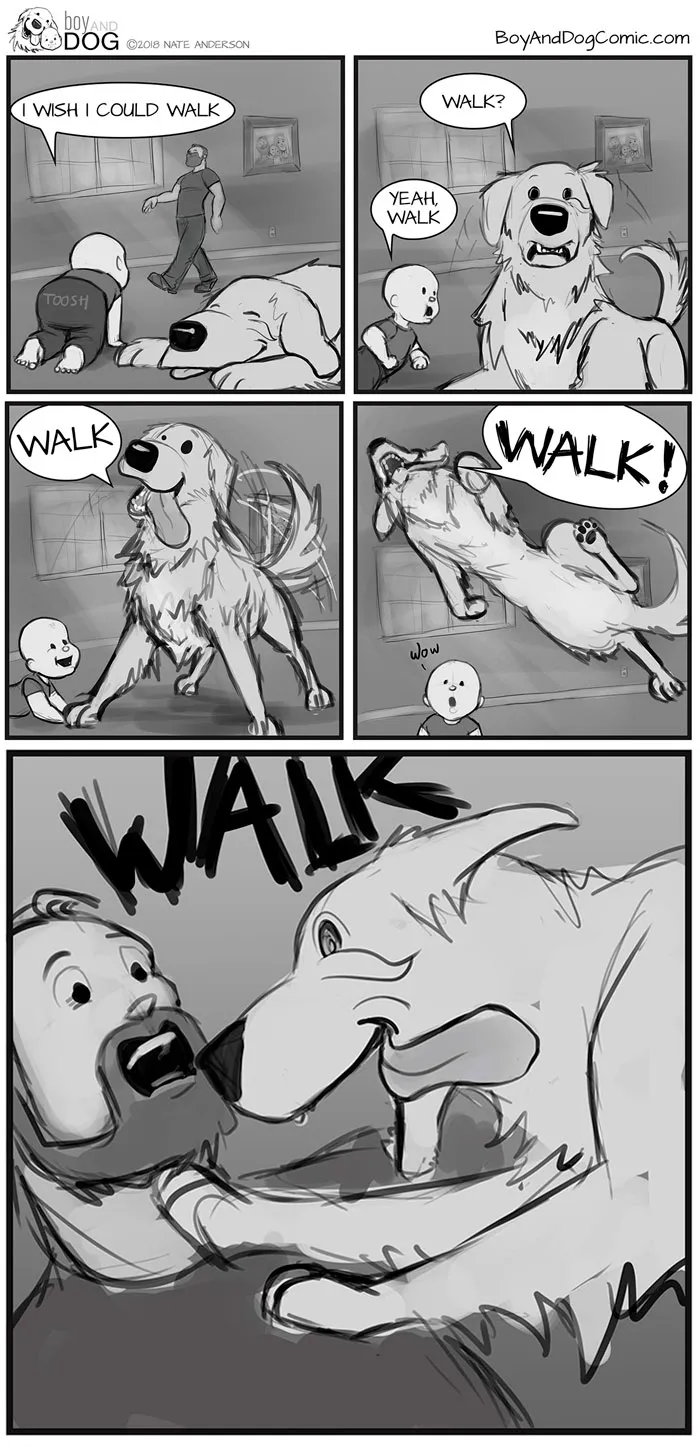 To Say That Murphy Loves Walks Would Be An Understatement. It's More Of An Obsession