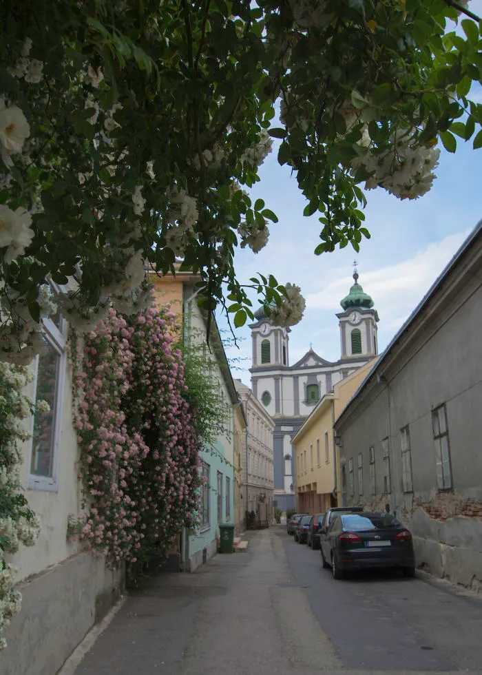 I Photographed My Hungarian Hometown