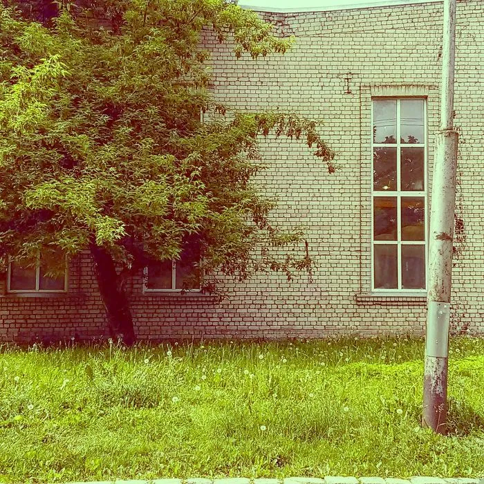 Artistic Instagram Photos